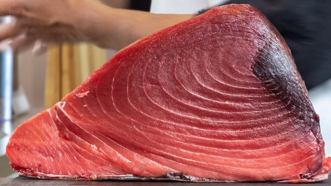 Fresh Bluefin Tuna Loin