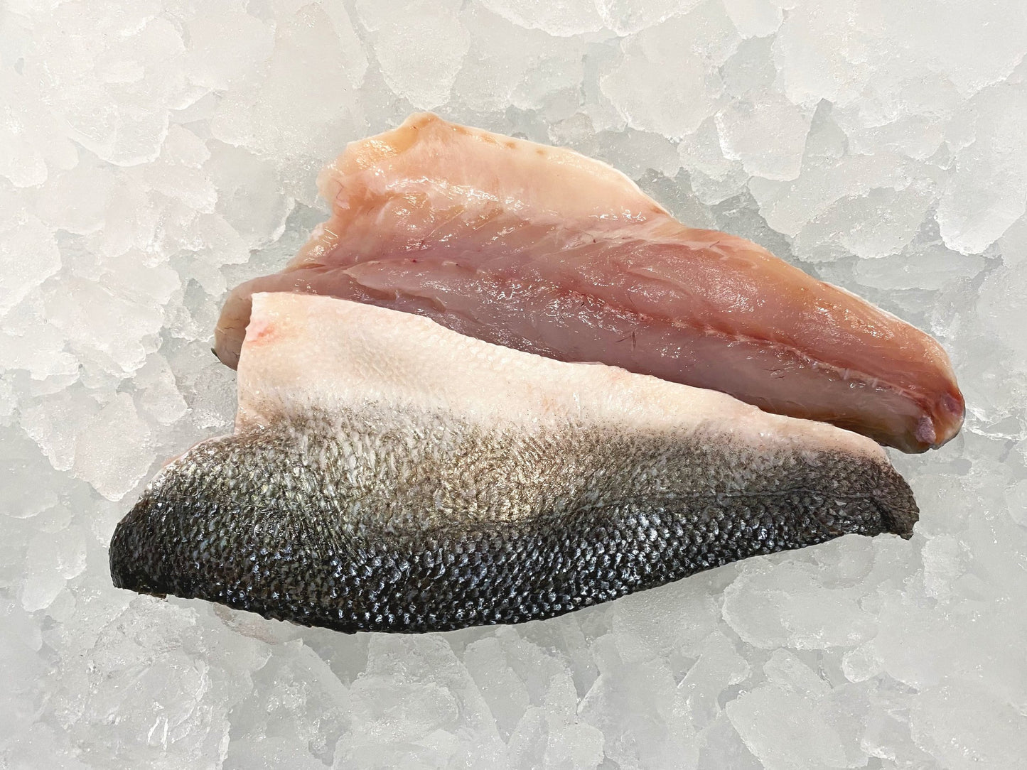 Frozen Branzini (Branzino) Fillets