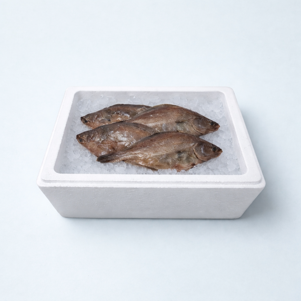 Fresh Whole Flounder Wholesale | Off-the-Boat Bulk Savings