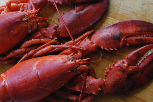 What is a Soft Shell Lobster?