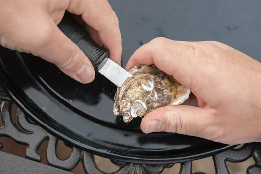 Guide: Oysters