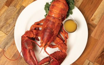 How To: Prepare, Cook, & Eat Lobsters