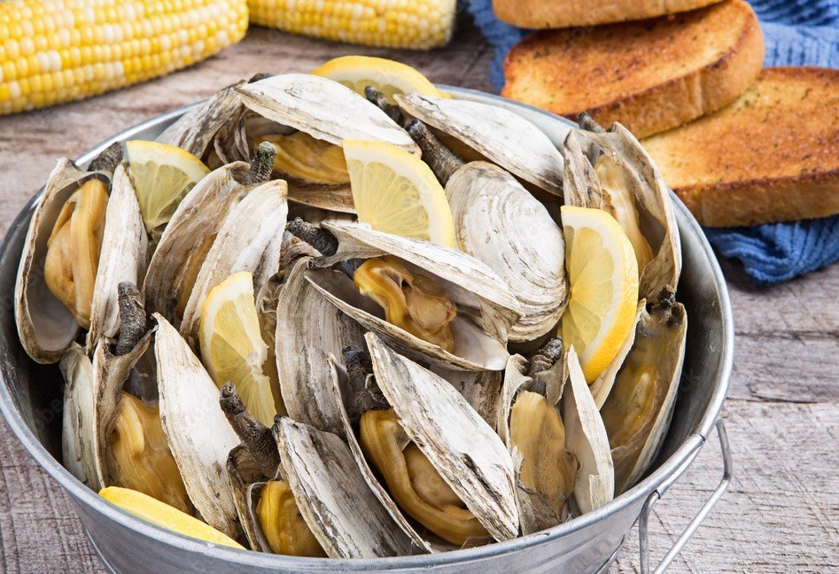 New England Steamer Clams: How to Prepare and Eat Them Like a Local