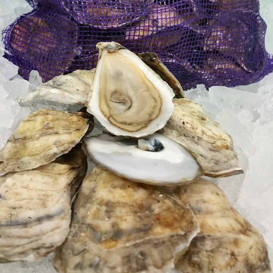 Wild vs. Farmed Oysters: What’s the Difference?