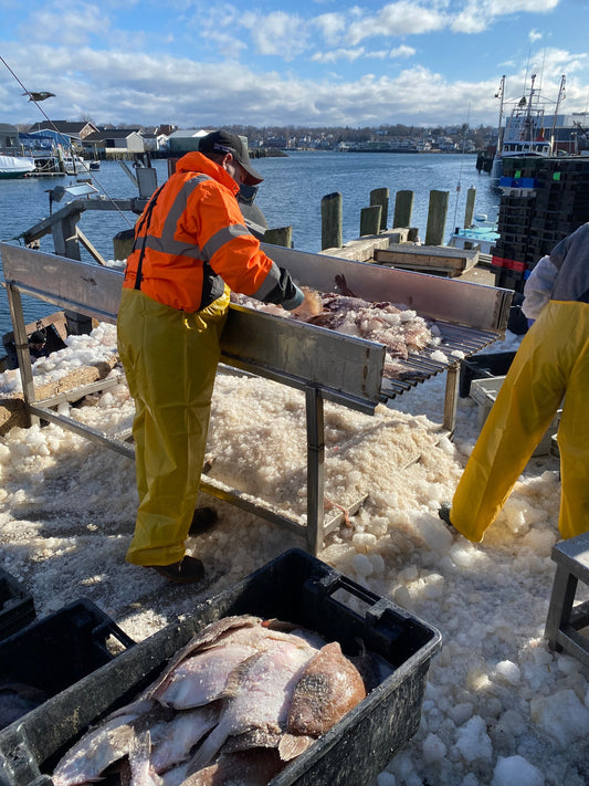 Behind the Catch: What Affects Wild-Caught Seafood Availability