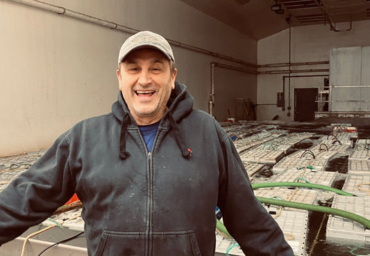 From Our Family to Yours: Honoring the Feast of the Seven Fishes Tradition
