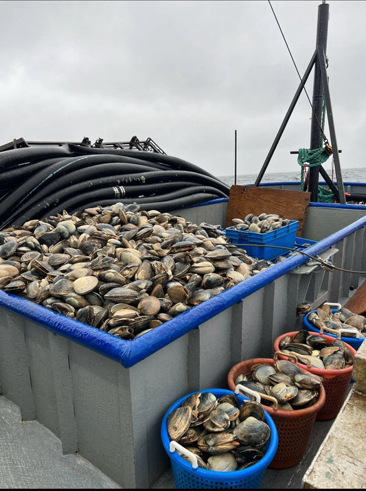 Clamming Up: The Fight to Save New England's Surf Clam Fishery