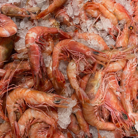 Taste the Difference: Why USA Wild Shrimp is Worth Every Penny