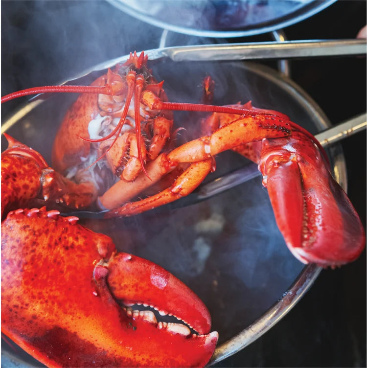 How To: Prepare, Cook, & Eat Lobsters