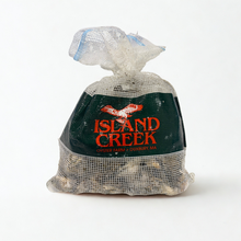 韦尔弗利特生蚝