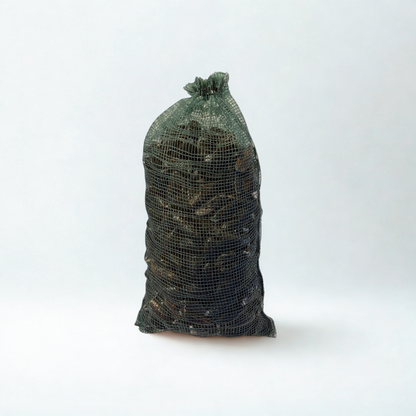 Bulk PEI Mussels - 10 Lb Bag