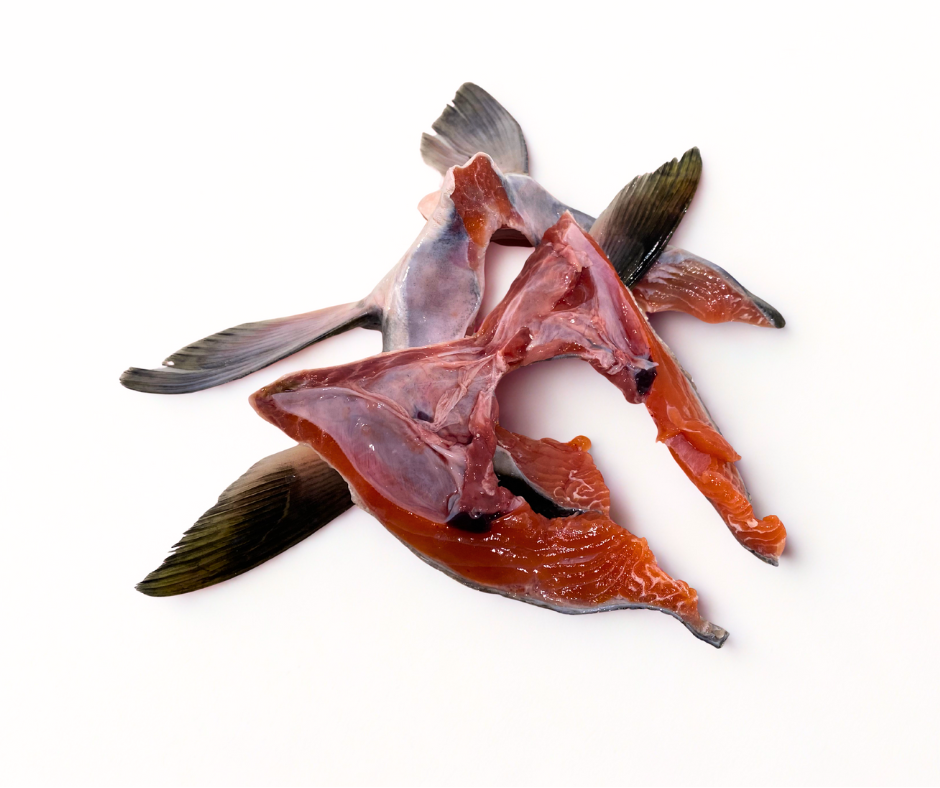 Frozen Salmon Collar