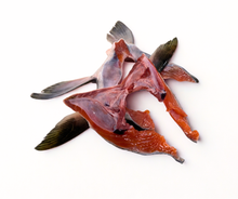 Frozen Salmon Collar