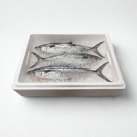 Bulk Spanish Mackerel Whole - 10 Lb