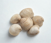 Quahog (Jumbo) Hardshell Clams