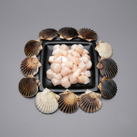 Nantucket Bay Scallop Meat - Fresh 1 Lb