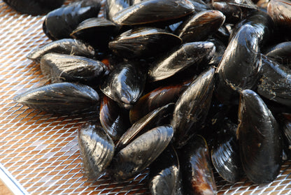 Bulk PEI Mussels - 10 Lb Bag