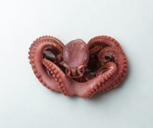 Pulpo cocido - Tako al estilo japonés