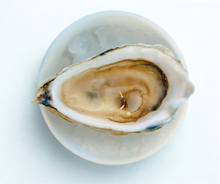 Ostras vivas de Wellfleet