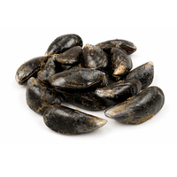 Wild Mussels - 2 Lb