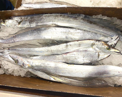 Fresh Atlantic Cutlassfish - Ribbon Fish (Belt Fish)