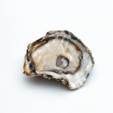 Kumamoto Oysters - 60 Pieces