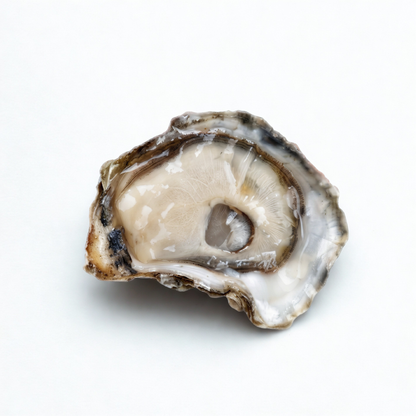 Kumamoto Oysters - 60 Ct