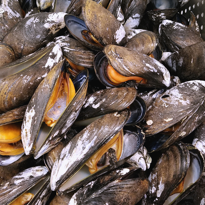 Wild Mussels - 2 Lb