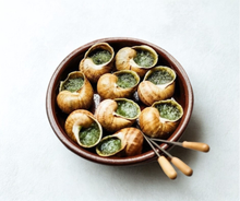 Caracoles franceses - Nomade des Jardins