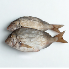Fresh Whole Scup (Porgy) - 4 Lb