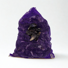 Bulk Wild Mussels - 10 Lb Bag