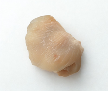 Mejillas de fletán de la costa este