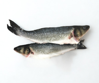 Frozen Whole Branzini (Branzino)