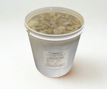 Fresh Shucked Oyster Meat