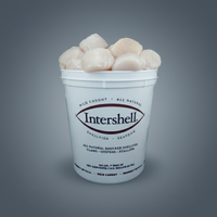 Gallon Scallop Meat - All Natural & Dry 8 Lb