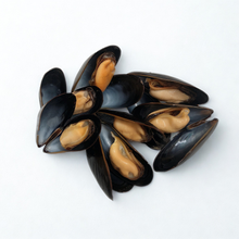 Bulk PEI Mussels - 10 Lb Bag