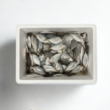 Bulk Fresh Butterfish - Whole 10 Lb