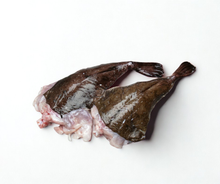 Fresh Monkfish Tails