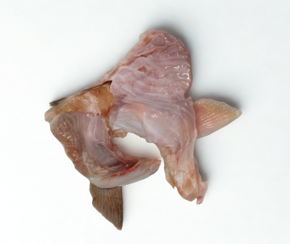 Halibut Collars - Frozen