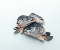 Salmon Heads - Fresh