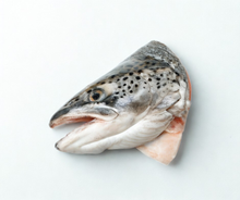 Cabezas de salmón congeladas