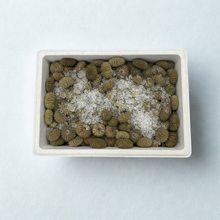 Live Urchins - 10 Lb