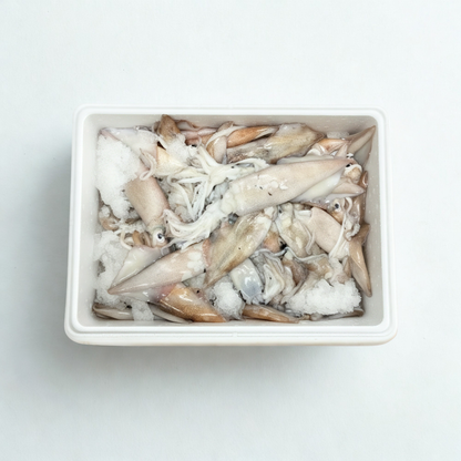 Bulk Whole Native Squid - Uncleaned 10 Lb