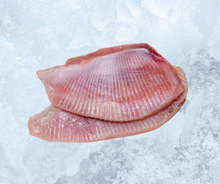 Frozen Skate Wing Fillets 2 Lb