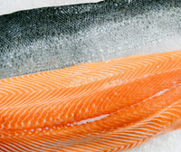 Fresh Salmon Fillet