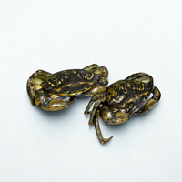 Green Crab - 2 Lb