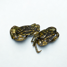 Green Crab - 2 Lb