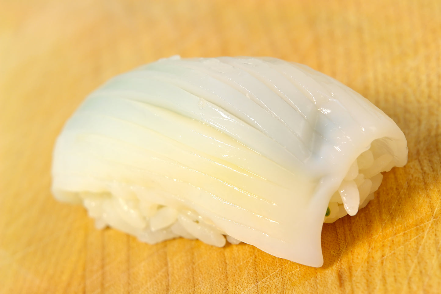 Frozen Sushi Squid (Mongo Ika)