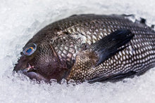 Frozen Black Sea Bass Fillets 2 Lb