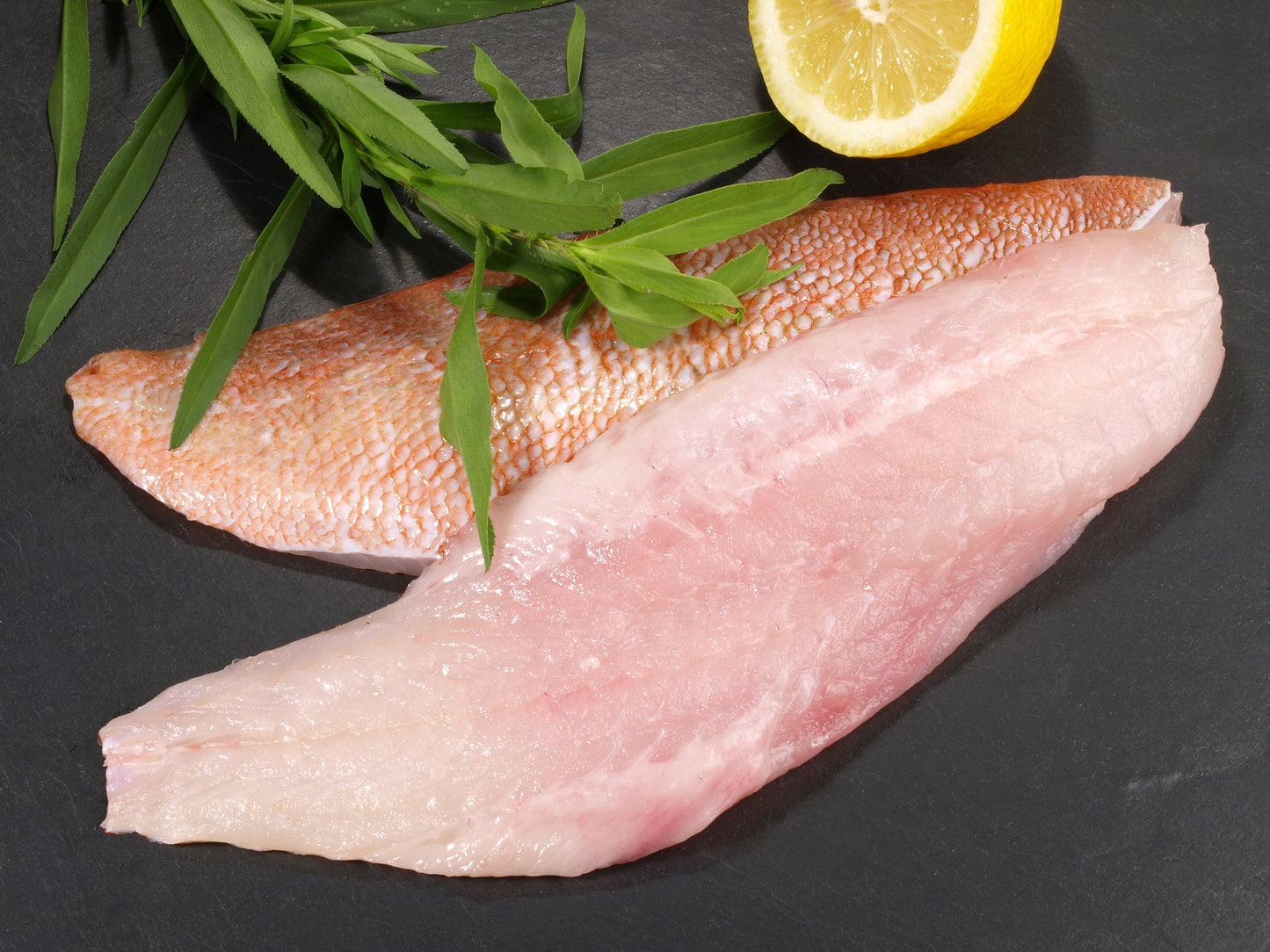 Fresh North Atlantic Ocean Perch Fillets – Red Fish Fillets